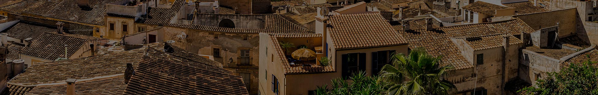 Bedarfsermittlung ImmobilienScouting Mallorca